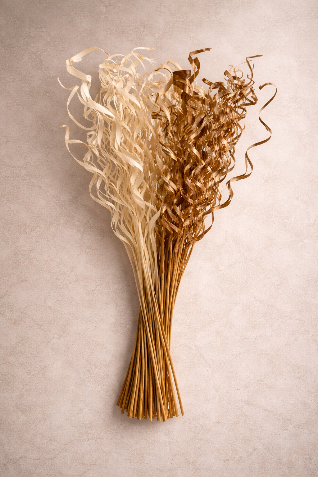 Curly Dried Grass Stems – Natural Gold