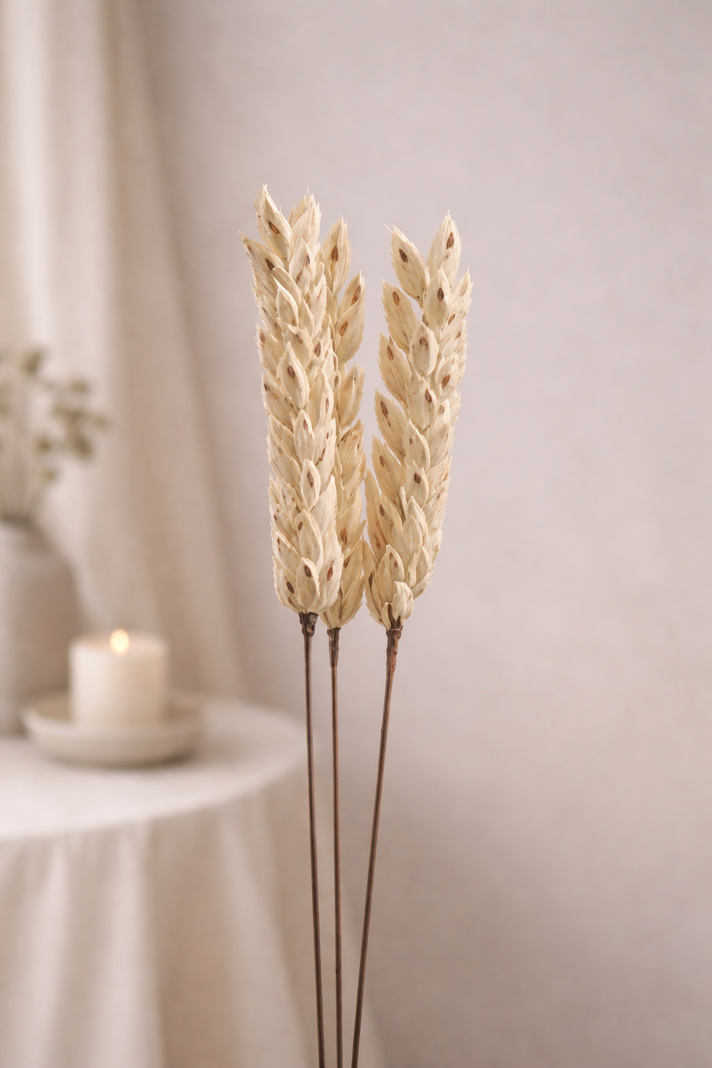 Ivory Spike – Floral Stem