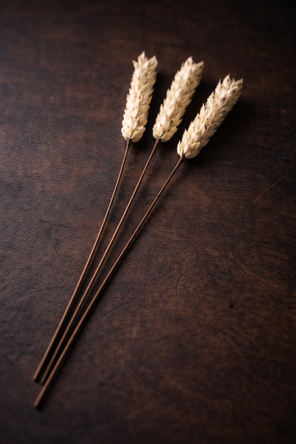 Ivory Spike – Floral Stem