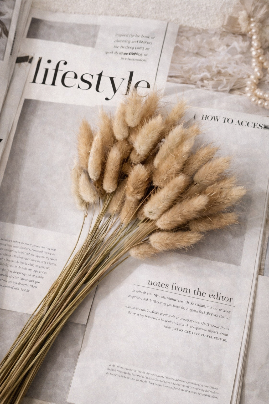 Beige Bunny Tail Grass – Dried Flowers